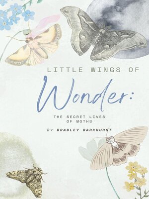 cover image of Little Wings of Wonder